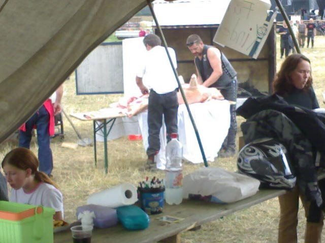 2006 Bilder - 120820061996