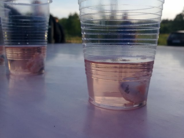 2012-06-17 Aufnahme Madddin - 17062012157