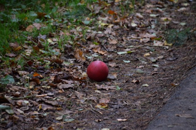 2017-10-31 Bosseln - DSC 7225