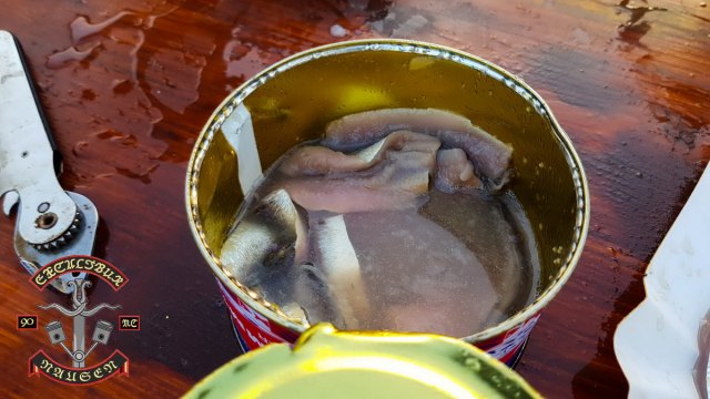 2018-08-04 Sommertreffen 2018 - 20180802 204651 1