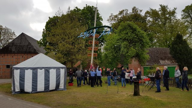 2019-05-01 MCE Maibaum Karwitz - 20190501 103255