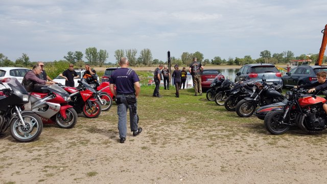 2019-08-09 MCE Spalier Hochzeit Diana - 20190809 145355