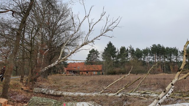 2021-12-27 MCE Brennholz - 20211227 132720
