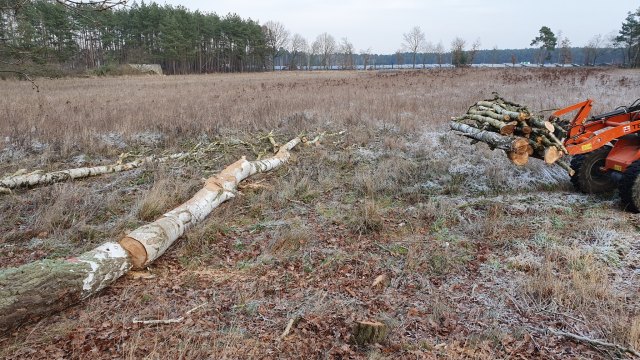 2021-12-27 MCE Brennholz - 20211227 142612