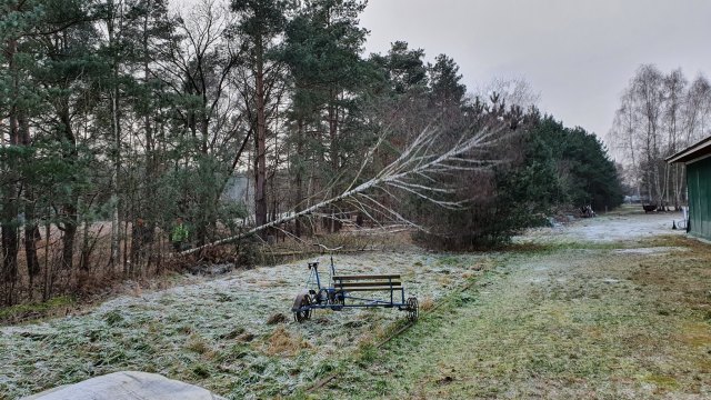 2021-12-27 MCE Brennholz - 20211227 143131