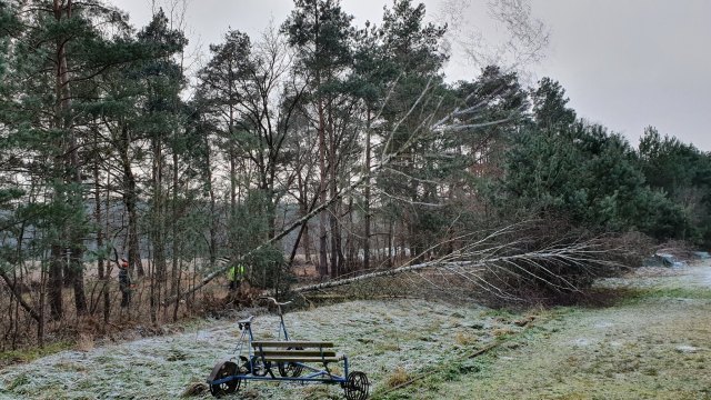 2021-12-27 MCE Brennholz - 20211227 143220