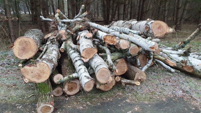 2021-12-27 MCE Brennholz - 20211227 153012