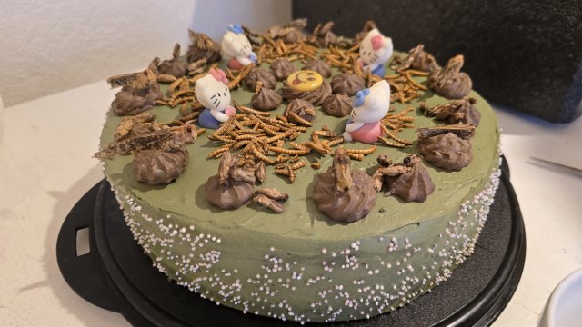 2025-06-20 Prospektparty - 20250620 211924