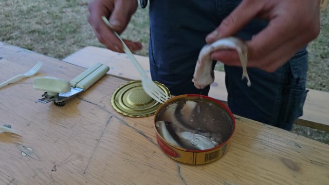2026-07-31 Sommertreffen MC Excalibur - 20260730 210932